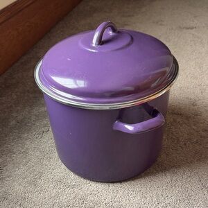 Tivoli Purple Enamel Steel 12 Quart Stock Pot